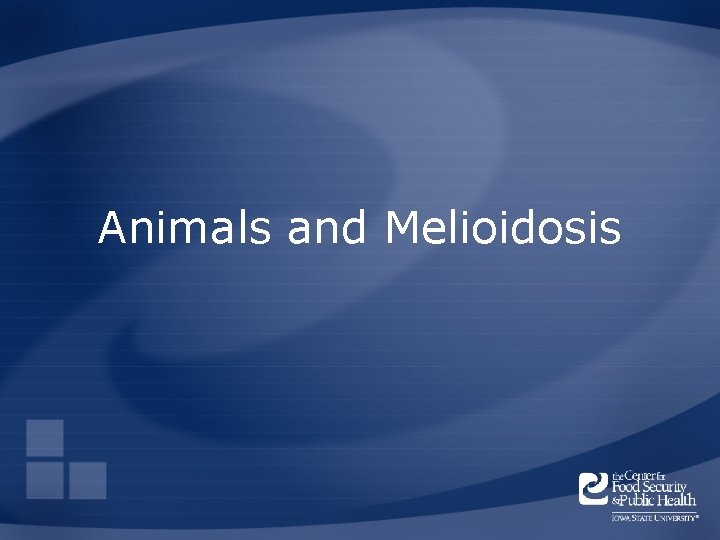 Animals and Melioidosis 