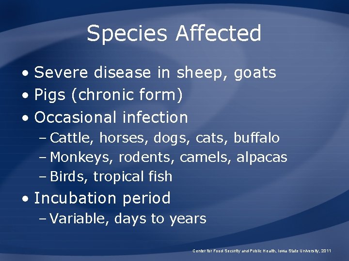 Species Affected • Severe disease in sheep, goats • Pigs (chronic form) • Occasional