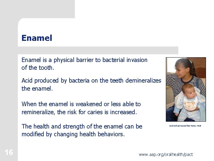 Enamel is a physical barrier to bacterial invasion of the tooth. Acid produced by