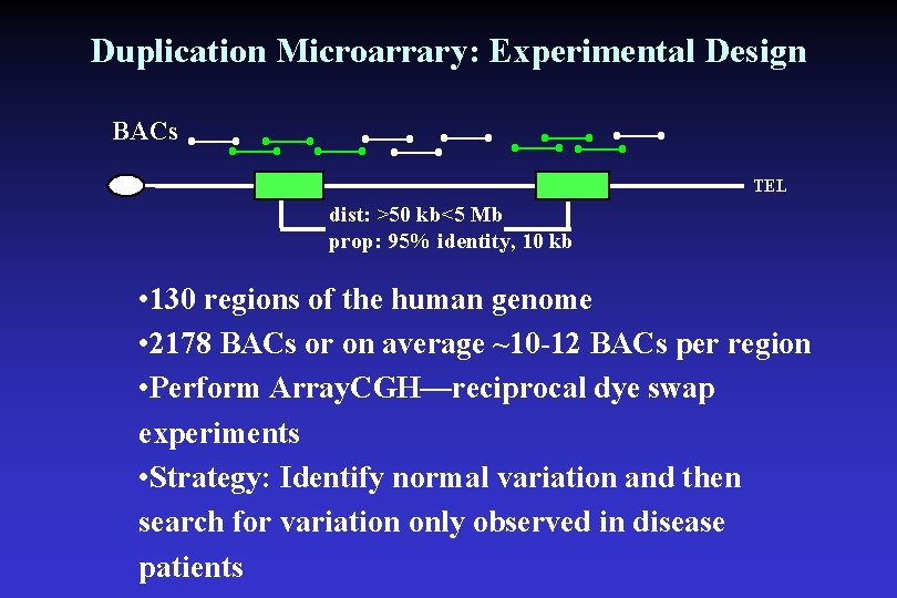 Duplication Microarrary: Experimental Design BACs TEL dist: >50 kb<5 Mb prop: 95% identity, 10