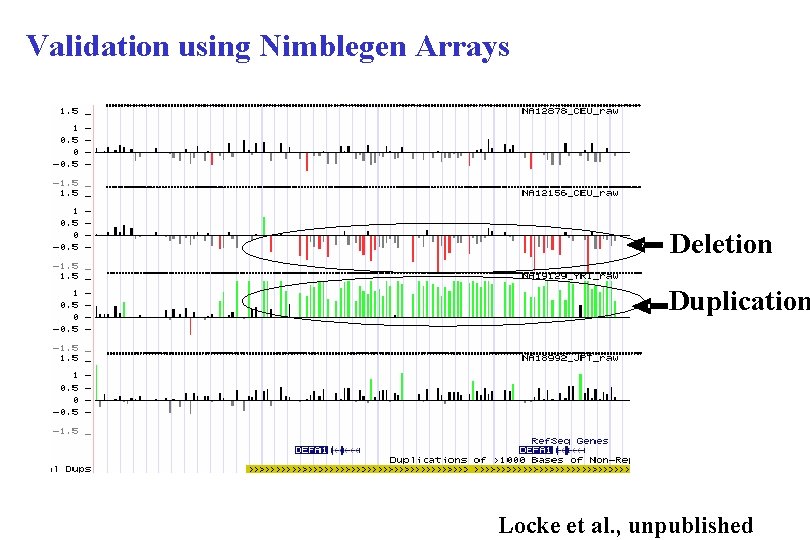 Validation using Nimblegen Arrays Deletion Duplication Locke et al. , unpublished 