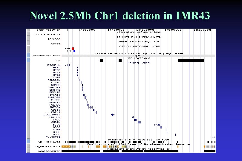 Novel 2. 5 Mb Chr 1 deletion in IMR 43 