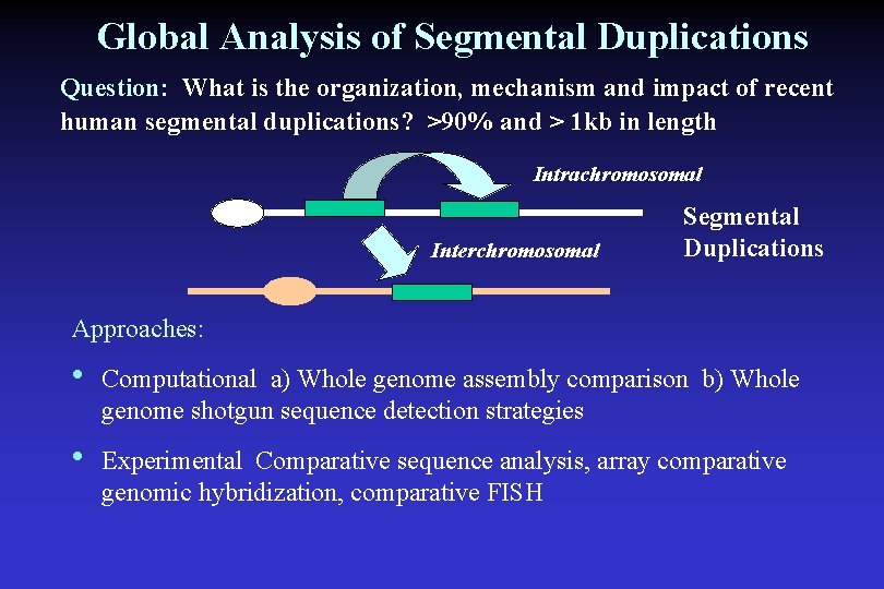 Global Analysis of Segmental Duplications Question: What is the organization, mechanism and impact of