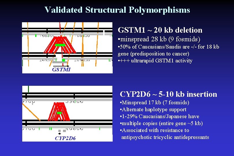 Validated Structural Polymorphisms GSTM 1 ~ 20 kb deletion • minspread 28 kb (9