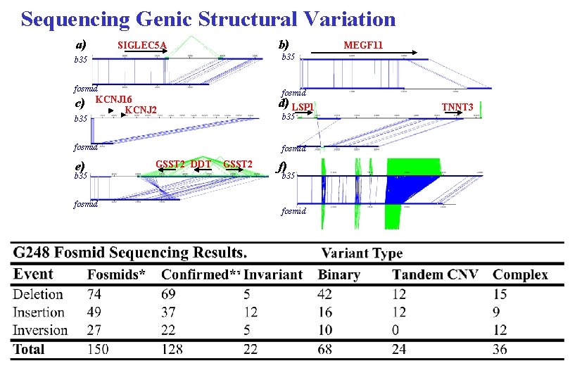 Sequencing Genic Structural Variation a) b) SIGLEC 5 A b 35 fosmid c) b
