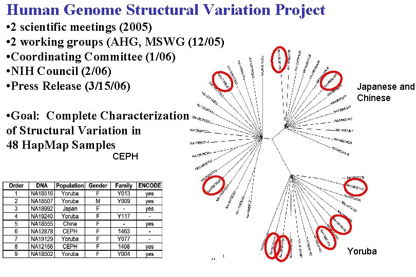 Human Genome Structural Variation Project • 2 scientific meetings (2005) • 2 working groups