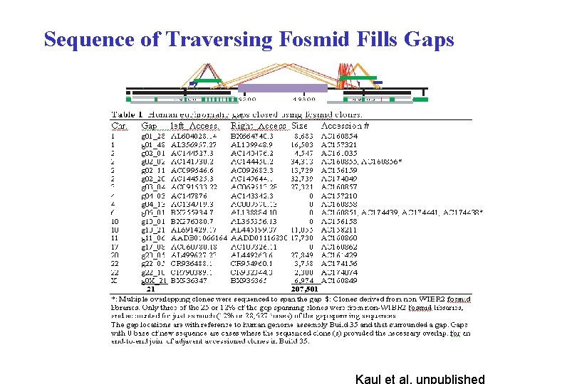 Sequence of Traversing Fosmid Fills Gaps Kaul et al, unpublished 