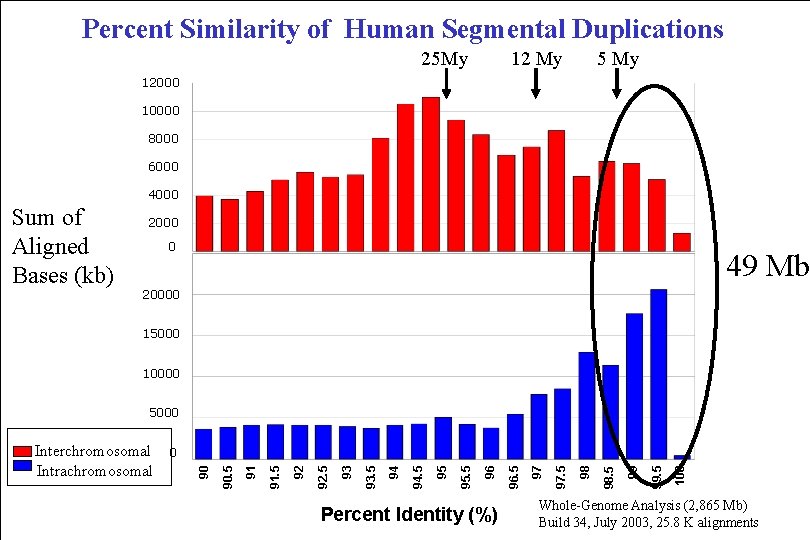 Percent Similarity of Human Segmental Duplications 25 My 12 My 5 My 12000 10000