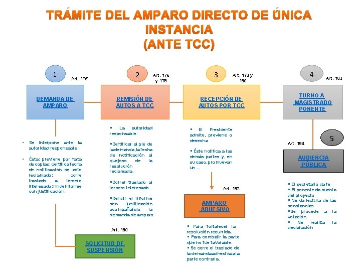 AMPARO DIRECTO 2017 HUMBERTO ENRIQUE RUIZ TORRES 1