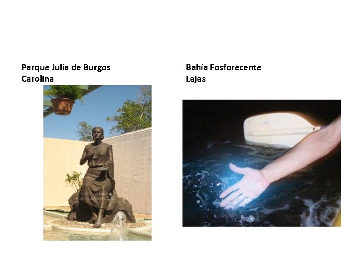 Parque Julia de Burgos Carolina Bahía Fosforecente Lajas Parque Julia de Burgos Carolina Bahía Fosforecente Lajas
