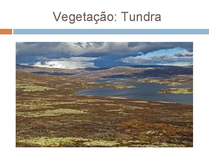 Vegetação: Tundra 