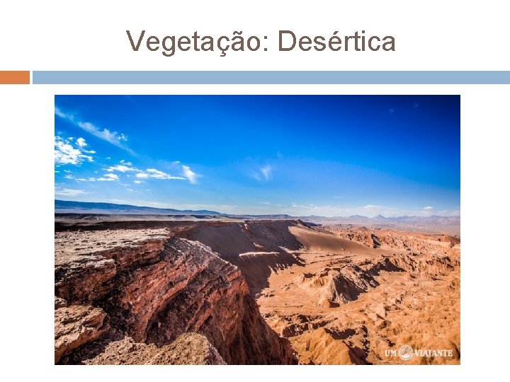 Vegetação: Desértica 