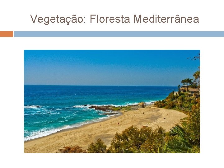 Vegetação: Floresta Mediterrânea 