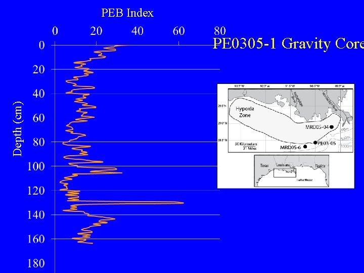 PEB Index Depth (cm) PE 0305 -1 Gravity Core 