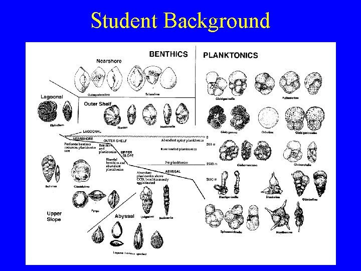 Student Background 