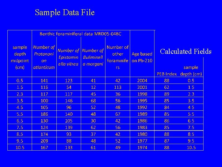 Sample Data File Calculated Fields 