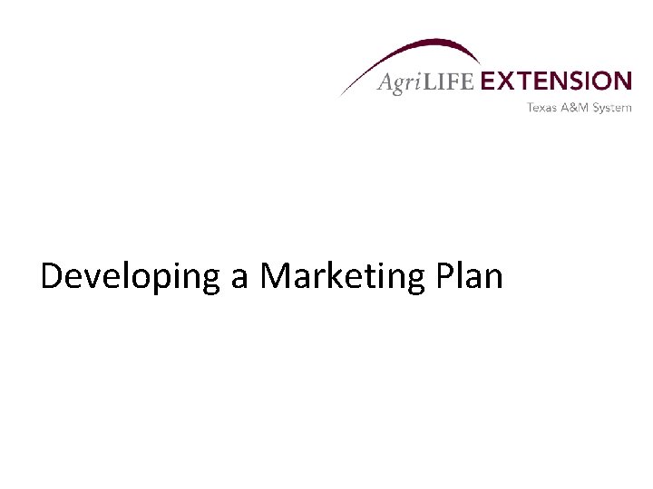 Developing a Marketing Plan 