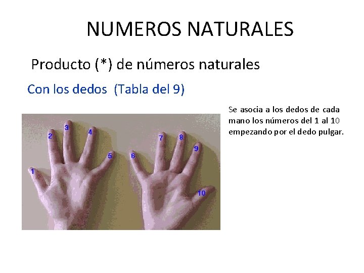 NUMEROS NATURALES Producto (*) de números naturales Con los dedos (Tabla del 9) Se