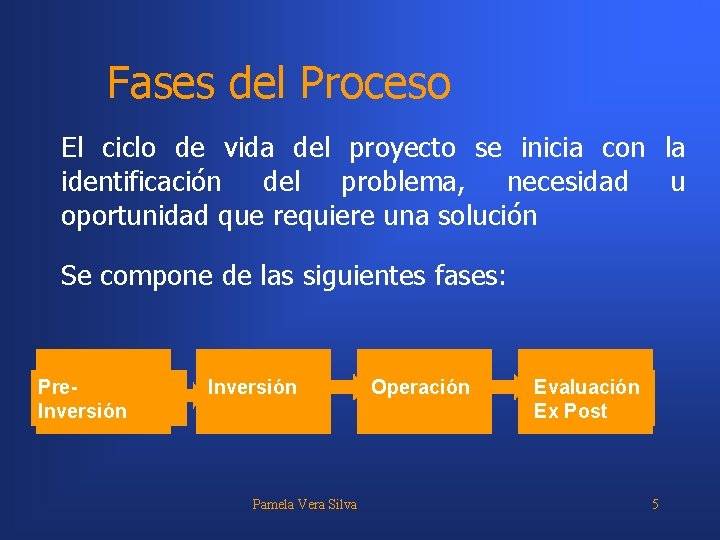 Fases del Proceso El ciclo de vida del proyecto se inicia con la identificación