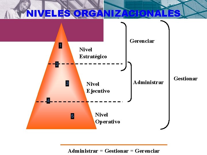 NIVELES ORGANIZACIONALES Gerenciar 1 Nivel Estratégico 2 Nivel Ejecutivo 3 Administrar 4 5 Nivel