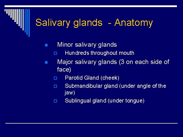 Salivary glands - Anatomy n Minor salivary glands p n Hundreds throughout mouth Major