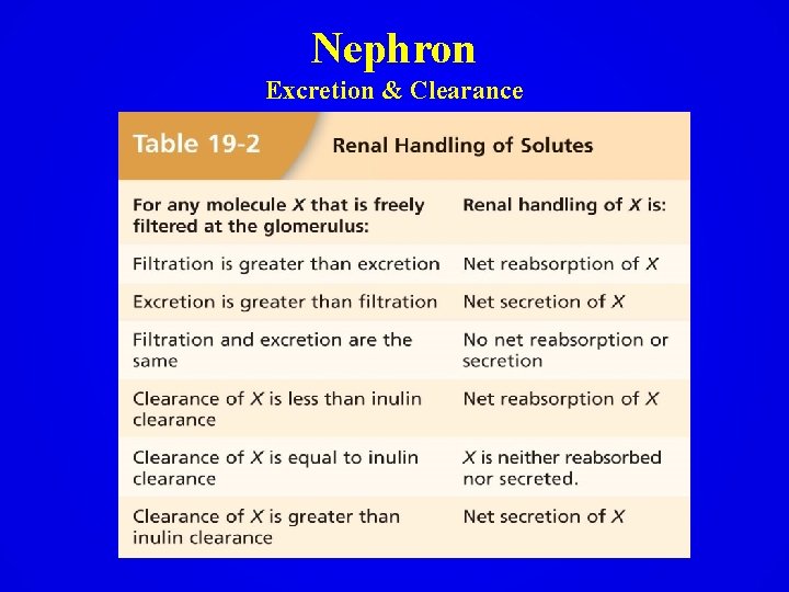 Nephron Excretion & Clearance 