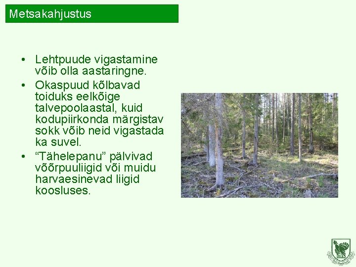 Metsakahjustus • Lehtpuude vigastamine võib olla aastaringne. • Okaspuud kõlbavad toiduks eelkõige talvepoolaastal, kuid