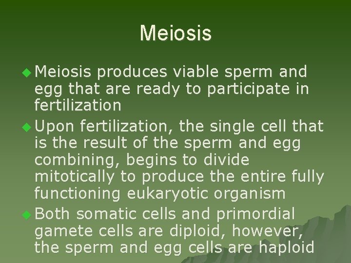 Meiosis u Meiosis produces viable sperm and egg that are ready to participate in