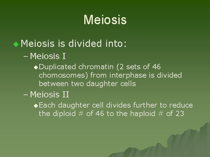 Meiosis u Meiosis is divided into: – Meiosis I u Duplicated chromatin (2 sets
