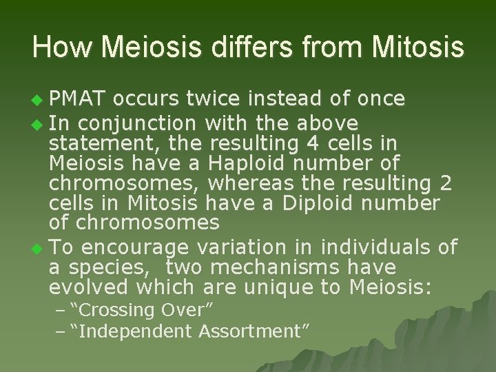 How Meiosis differs from Mitosis u PMAT occurs twice instead of once u In