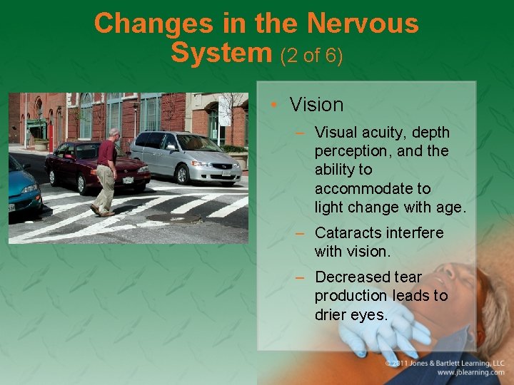 Changes in the Nervous System (2 of 6) • Vision – Visual acuity, depth