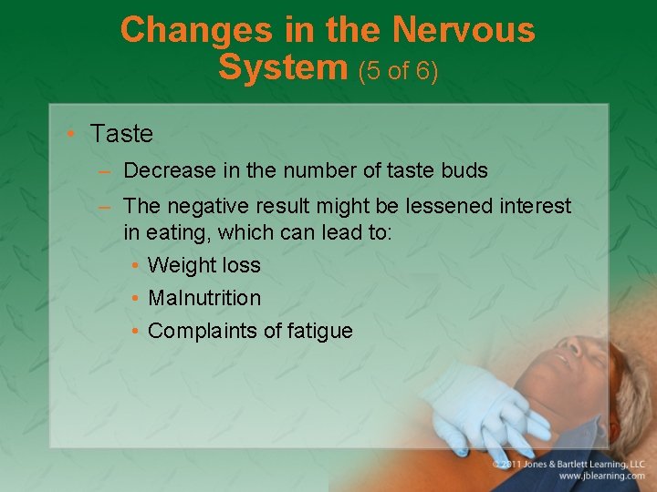 Changes in the Nervous System (5 of 6) • Taste – Decrease in the