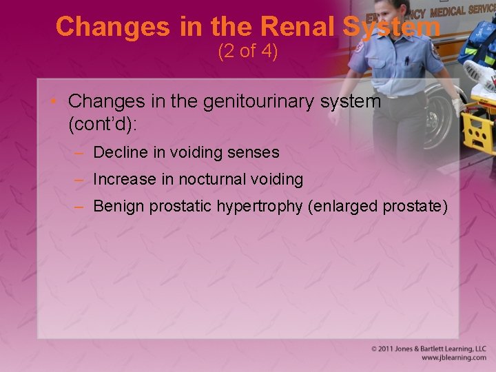 Changes in the Renal System (2 of 4) • Changes in the genitourinary system