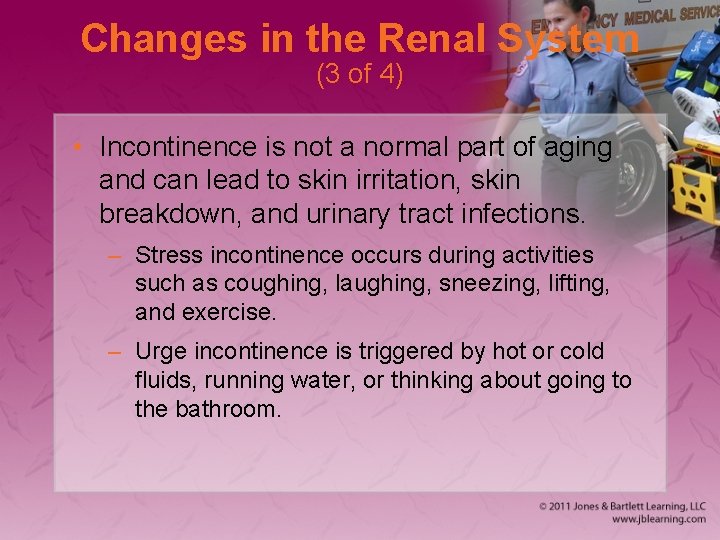 Changes in the Renal System (3 of 4) • Incontinence is not a normal