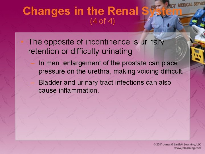 Changes in the Renal System (4 of 4) • The opposite of incontinence is