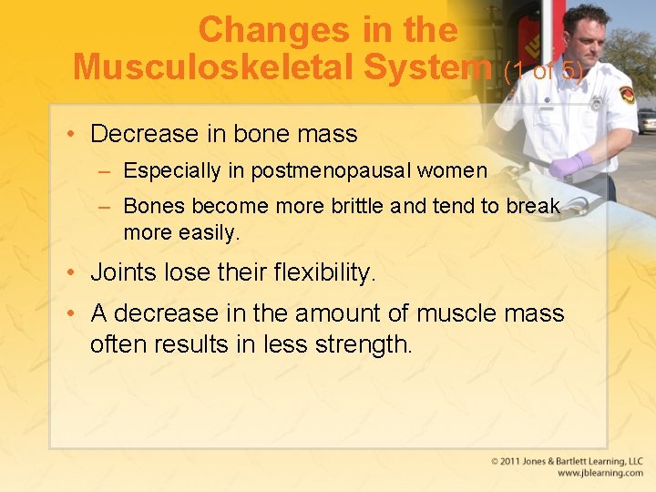 Changes in the Musculoskeletal System (1 of 5) • Decrease in bone mass –