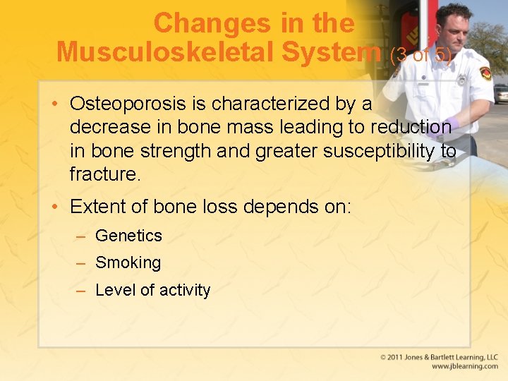 Changes in the Musculoskeletal System (3 of 5) • Osteoporosis is characterized by a