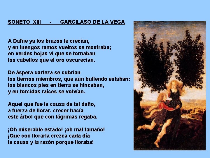 SONETO XIII - GARCILASO DE LA VEGA A Dafne ya los brazos le crecían,