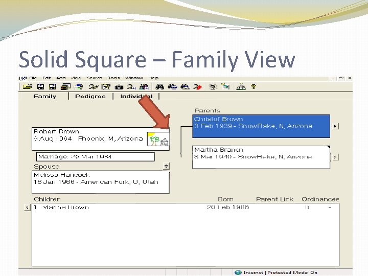 Solid Square – Family View Solid Square – Family View
