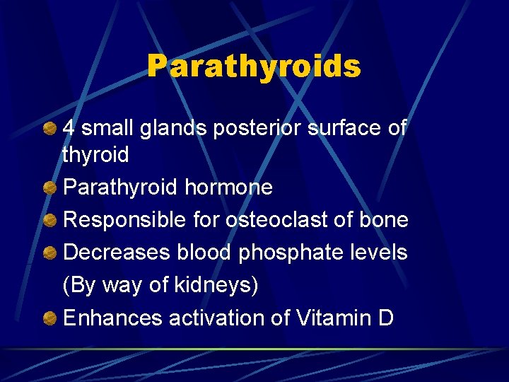 Parathyroids 4 small glands posterior surface of thyroid Parathyroid hormone Responsible for osteoclast of