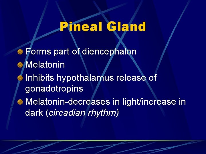Pineal Gland Forms part of diencephalon Melatonin Inhibits hypothalamus release of gonadotropins Melatonin-decreases in