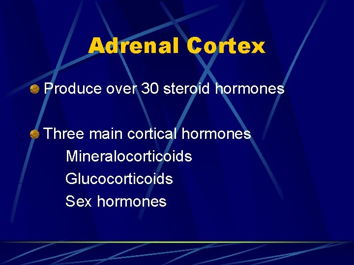 Adrenal Cortex Produce over 30 steroid hormones Three main cortical hormones Mineralocorticoids Glucocorticoids Sex