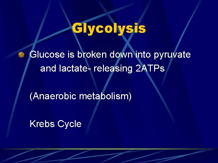 Glycolysis Glucose is broken down into pyruvate and lactate- releasing 2 ATPs (Anaerobic metabolism)