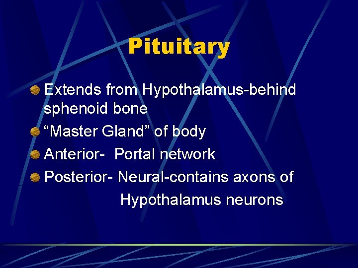 Pituitary Extends from Hypothalamus-behind sphenoid bone “Master Gland” of body Anterior- Portal network Posterior-