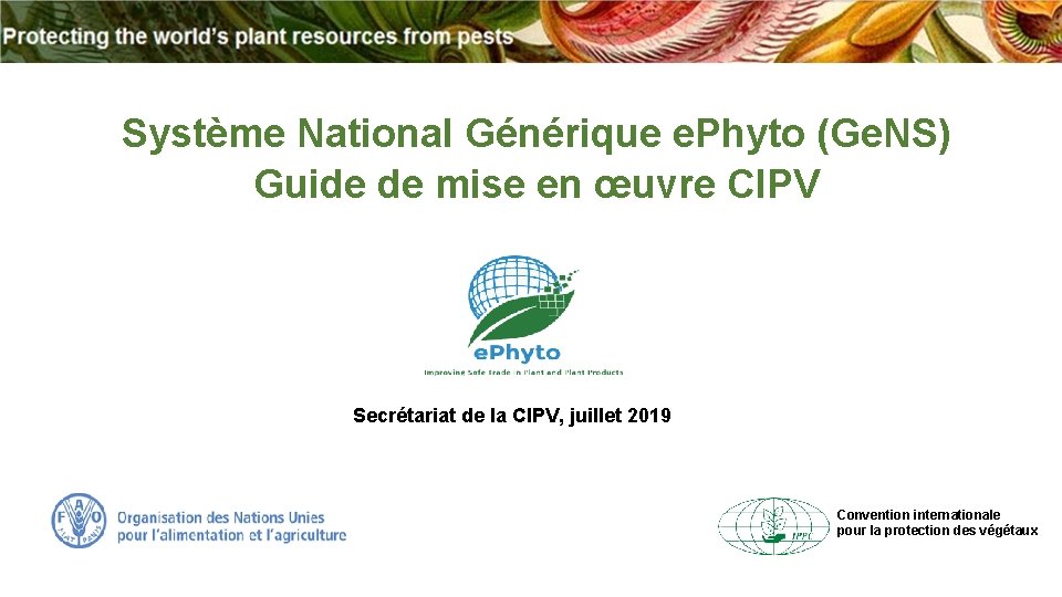 Systme National Gnrique e Phyto Ge NS Guide