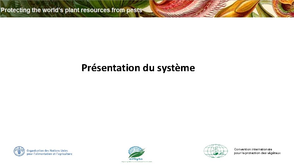 Systme National Gnrique e Phyto Ge NS Guide
