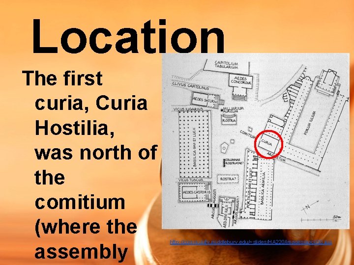 Location The first curia, Curia Hostilia, was north of the comitium (where the assembly