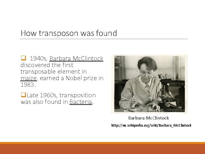 How transposon was found q 1940 s, Barbara Mc. Clintock discovered the first transposable