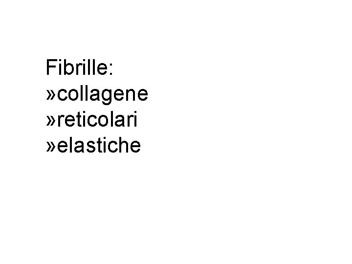 Fibrille: » collagene » reticolari » elastiche 