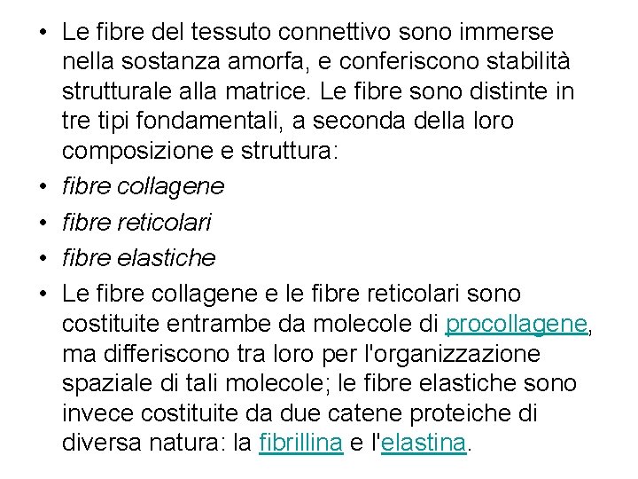  • Le fibre del tessuto connettivo sono immerse nella sostanza amorfa, e conferiscono